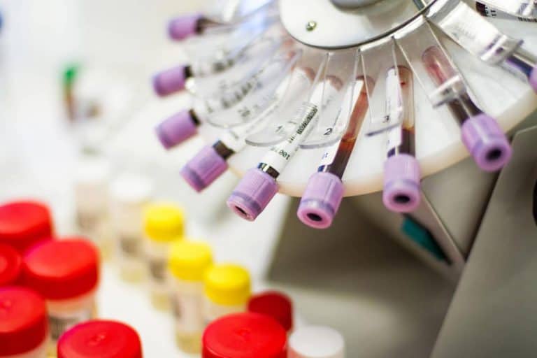 Laboratorios de referencia de la UE según el IVDR: lo que deben saber los fabricantes de clase d