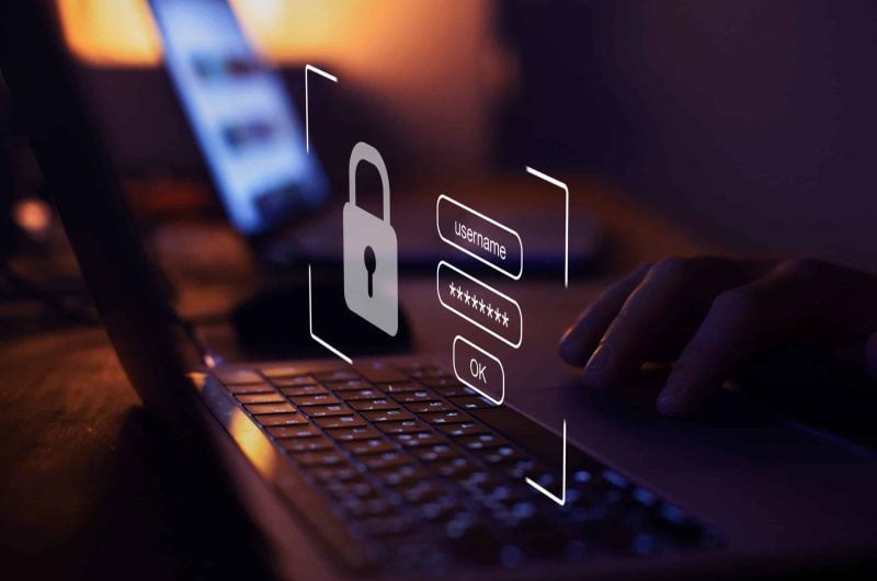 Position Paper on Cyber Security: What EU Notified Bodies Expect from Medical Device Manufacturers