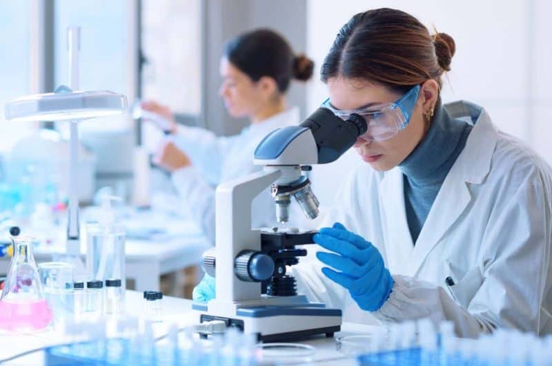 Clinical Evaluation of Orphan Devices: Navigating MDCG 2024-10