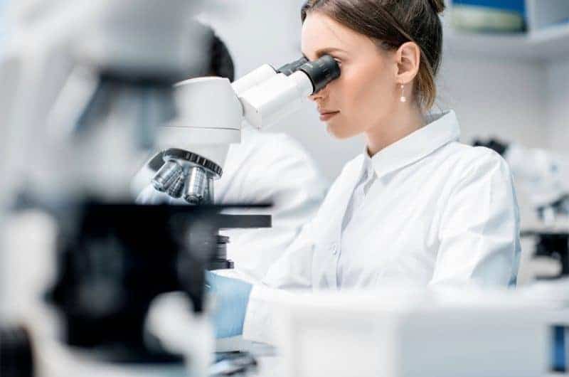 Spanish IVD Regulation 2025 – New Royal Decree Updates for IVD Manufacturers, Sponsors, and Labs