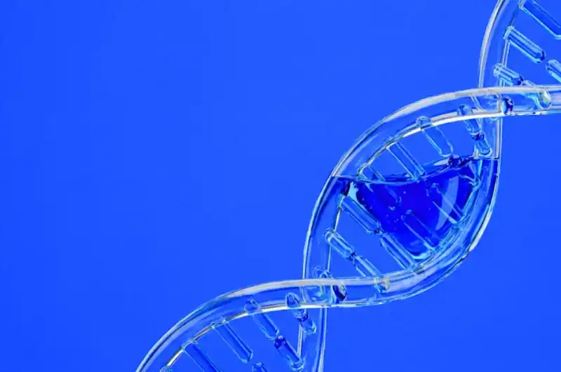 FDA Companion Diagnostics: A Complete Regulatory Guide to CDx Development, Approval, and Co-Development Strategy