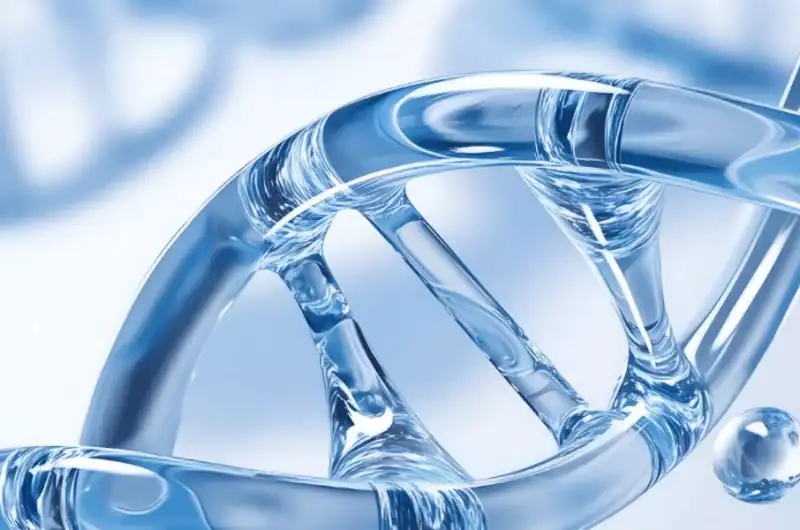 ISO 10993-1:2025 From Checkbox Compliance to Risk-Based Biocompatibility