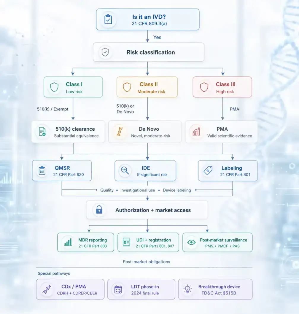 FDA IVD regulation pathway tree diagram: classification (Class I, II, III), premarket routes (510k, De Novo, PMA), quality system (QMSR), and post-market obligations